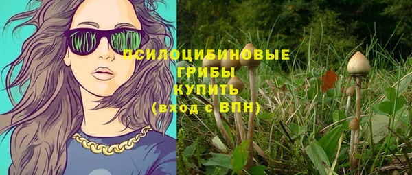 дурь Арсеньев