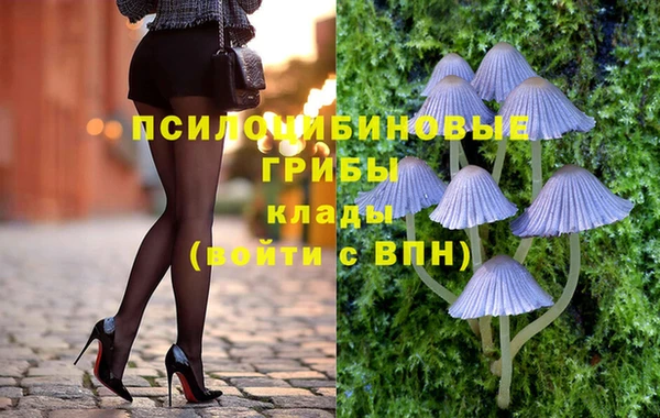 дурь Арсеньев