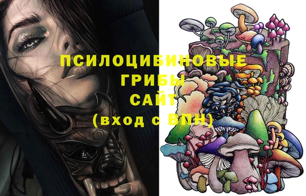 дурь Арсеньев