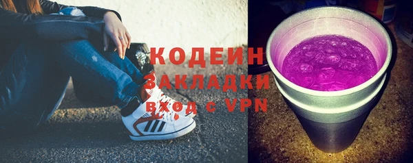дурь Арсеньев